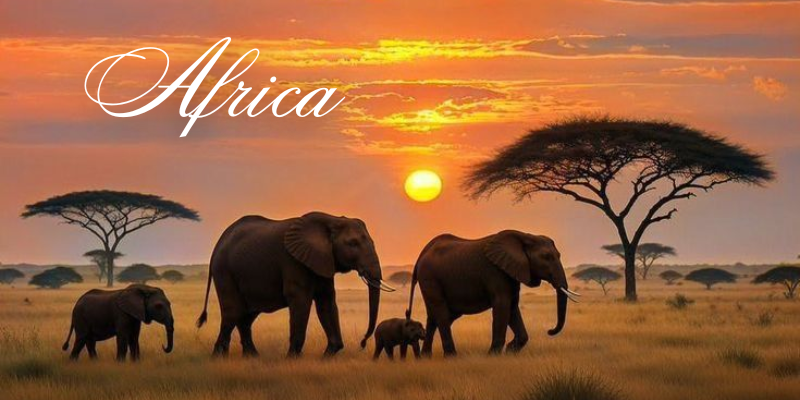 Safari Africano y Estambul Imperial 2026 - circuito internacional desde Colombia