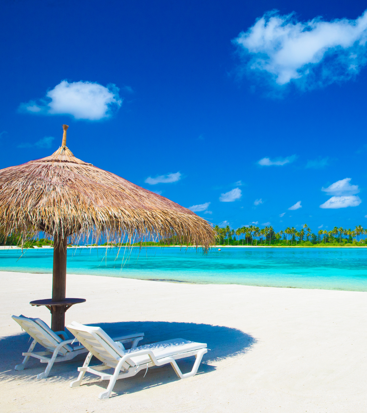 Promociones de viajes