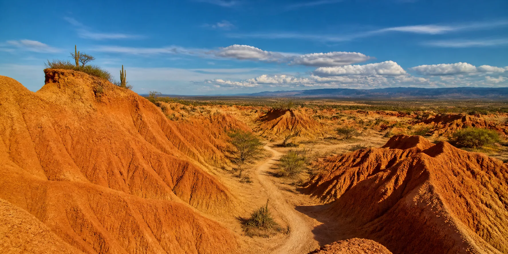 Viaje desde Bogotá al Desierto de la Tatacoa durante Semana de Receso 2026